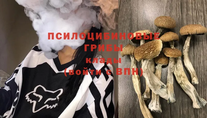 мориарти состав  Сафоново  блэк спрут ссылки  Галлюциногенные грибы Magic Shrooms  цена наркотик 